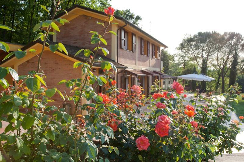 Agriturismo Di Paterno Sarzana Ngoại thất bức ảnh